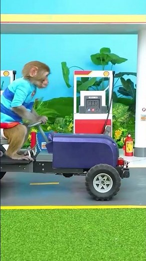 Monkey Baby Shark | Nursery Rhymes & Kids Songs |Bobby Kids Songs