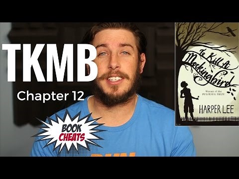 To Kill a Mockingbird Chapter 12 Summary