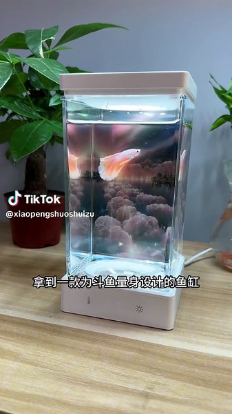 泰国斗鱼专用鱼缸功能详解