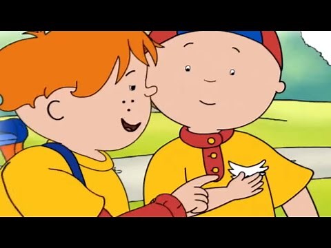 Caillou and the New Badge | Caillou Cartoon