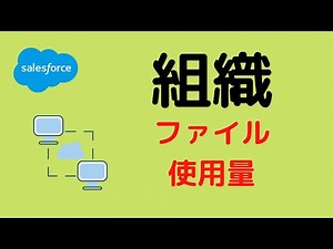 Salesforce 組織のディスクストレージとファイルストレージ