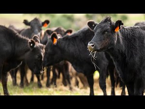 The methane imperative | Frontiers in Science