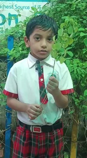 Zeeshan | Kids Explain Tap Root System of Plants | Rise Play School, Kakinada