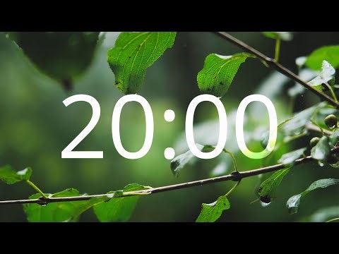 20 Minute Timer with Alarm Bell - Relaxing Acoustic Guitar Music