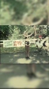 Scouts and guides😂😁😁🤣 #BennyHill #comedy #comedia #bennyhill #showtv | A Stoner's Heaven