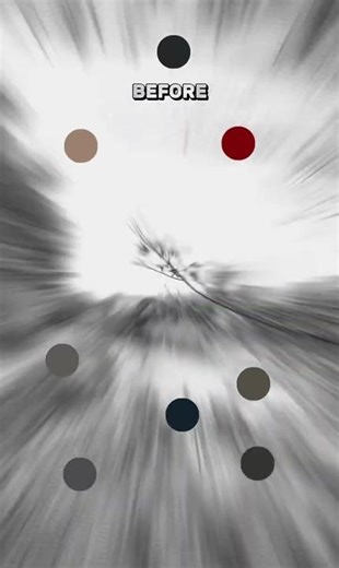 Iphone XR | Lightroom 2026 - 🇯🇵🍁