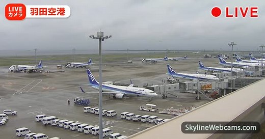 【LIVE】 Live Cam Tokyo - Haneda International Airport | SkylineWebcams