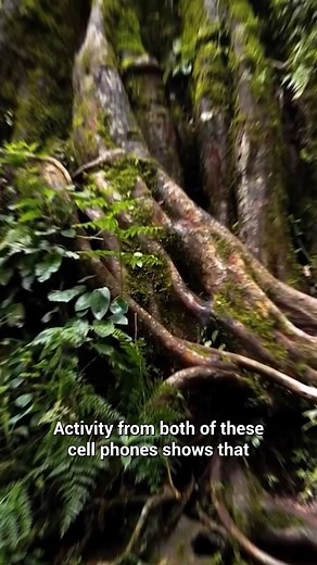Mysterious Photos Found In Missing Hikers' Camera | Kyle Hates Hiking
