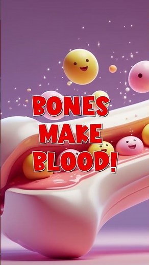 How do bones work? 🦴 | Human Body Mechanics for Children