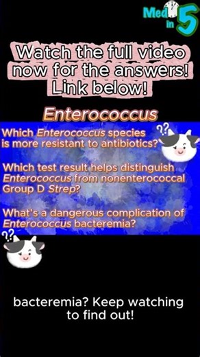 TEST YOURSELF: ENTEROCOCCUS BASICS! 🧠💯 #Shorts #Quiz #NCLEX #USMLE #FYP