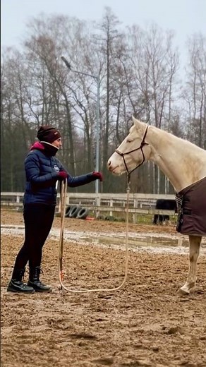 Każda zmiana jest przejściem / Trening koni