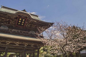 The 10 Most Impressive Temples You Should Visit In Japan [2026]
