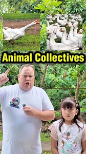 236K views · 6.3K reactions | Short videos to improve your vocabulary #learnenglish | English Lingo | Facebook