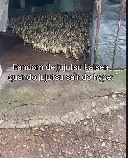 Fandom do Jujutsu Kaisen: A Comunidade Anime