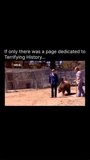 Terrifying History on Instagram: "On April 22, 2008, Stephan Miller was fatally attacked by a 5-year-old grizzly bear named Rocky at the Predators in Action facility in Southern California. Rocky was a trained animal actor, having recently appeared in the 2008 comedy Semi-Pro. Miller, though not Rocky’s primary trainer, was an experienced animal handler and had arranged to film a promotional video in which he would wrestle the bear. The incident occurred during preliminary shots before the stage