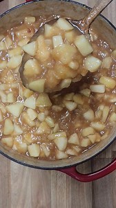 1.1K views · 93 reactions | Apple Hand Pies are made with homemade...