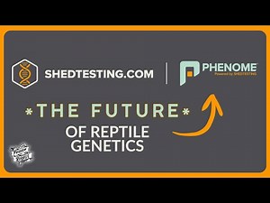 Phenome Unveiled: The Next Evolution of Reptile Genetics