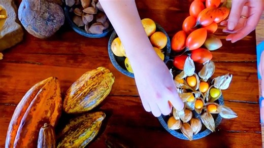 Inside the Wild Flavors Project: Amazon Ingredients Unearthed by Bolivian and Peruvian Chefs | Haystack News