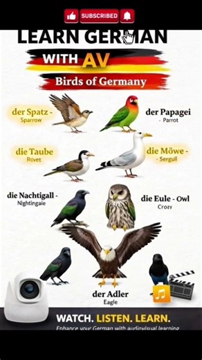 Learn German the fun way 🇩🇪🐦Bird names in German with AV (Audio-Visual) learning — watch & listen