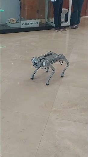 AI Robot Workout 🤖💪 | The Future of Fitness