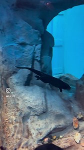 Have you made your Spring Break plans yet? | St. Louis Union Station