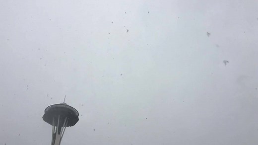 ❄️ Snow flurries falling around the Space Needle! This is the earliest measurable snowfall for Seattle since 1973. What's it like around your home? ❄️ On KIRO 7 at 5, we're PinPointing where you'll get another round this weekend. Watch on-air or kiro.tv/LiveNews. | KIRO 7 News