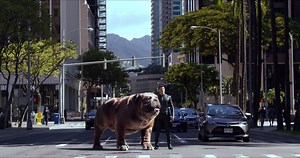 等到頸都長！搶先欣賞Marvel《異人族》 - 首部以IMAX®攝影機拍攝的電視劇集。8月31日喺IMAX®戲院率先一睹皇家成員風采；全系列劇集即將喺電視同其他平台播放。 | Marvel