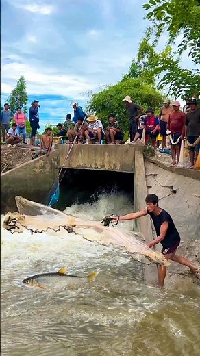 Real Life 100% Cast Net Fishing 7Kg Under The Dam At The Countryside (Part 47) #fishing #fish #new