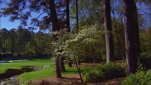 54K views · 1.5K reactions | It would be hard to find a more famous stretch of holes anywhere in golf than Amen Corner at Augusta National Golf Club. | Masters Tournament | Facebook