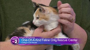 Bart Durham's big giveback: Lucky's Cat House