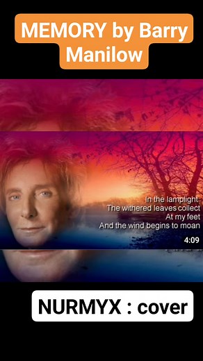 Memory by Barry Manilow COVER song by ME #new #memory #reels #Digos #trending | Norman Gumagay