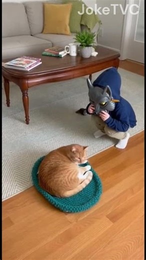 This Cat's Reaction to the Wolf Mask Is INSANE 🐱😂 #catvideos #funny #trending