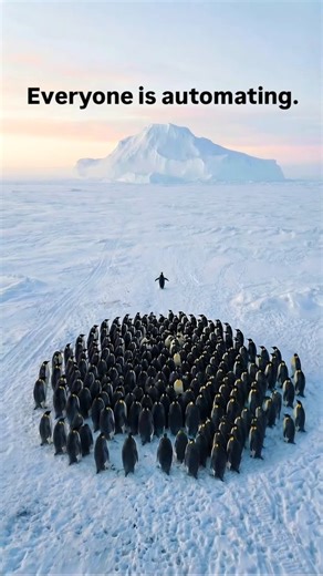Not everyone follows the crowd. Some choose the smarter path 🐧 (viral penguin, nihilist penguin, penguin trend, lone penguin, penguin viral reel, different path) #viralpenguin #penguin #viralreels #builddifferent #penguintrend | TechStaunch