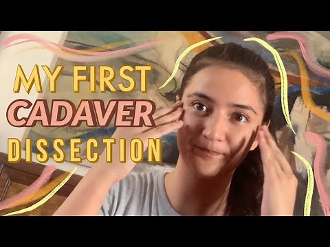 Dissecting a Cadaver in Med School (DISCLAIMER: sensitive content) | Med Student Life Vlog #1