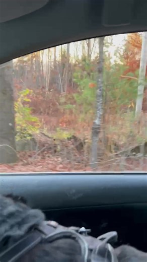 Traveling | David Klein