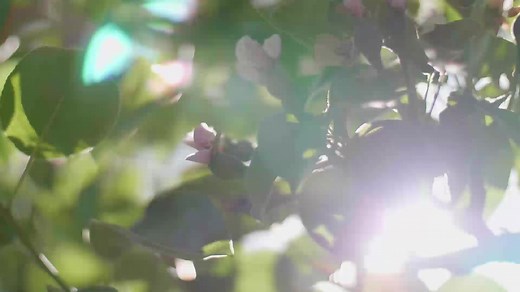 Home | International | Ceres Fruit Juices