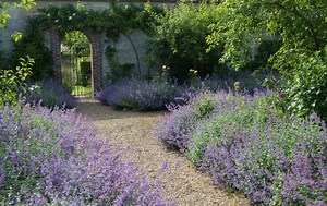 How to choose gravel for your garden