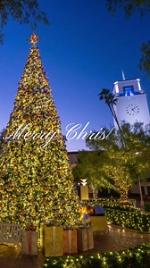From Union Station to your family ❤️🎄 | Union Station Los Angeles