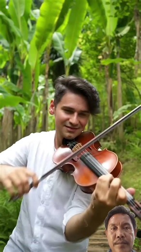 Violin Echoes in the Tropical Forest#viralvideo