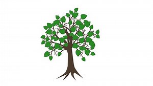 Video clip with hand-drawn tree,Tree grows,Alpha channel, Motion ,spring, meadow of , Animation, Tree grows with green leaves. Wood. Tree