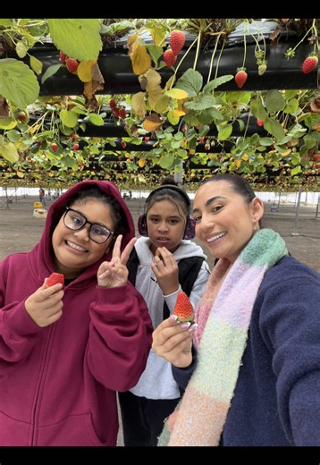 It was a beautiful day 😊 The farm we went to is called @BERRYliciousStrawberriesNSW #autismfamily #roadtrip #vlog #fyp