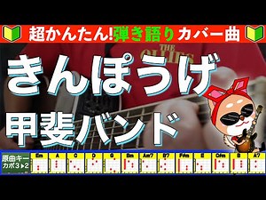 🔰【コード付き】きんぽうげ / 甲斐バンド 弾き語り ギター初心者