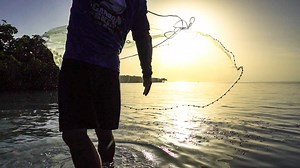 27K views · 61 reactions | If you are struggling with a 7 ft. cast net? Here is a full instructional video to show you how to cast and capture! Steve Pita C.J. GARTON #ScentElimination #FishBeGone Carbon SKIN Products | Carbon SKIN Products | Facebook