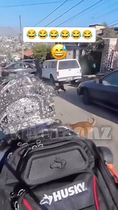 🤣🤣🤣🤣🤣 | Milkshake Morning Show