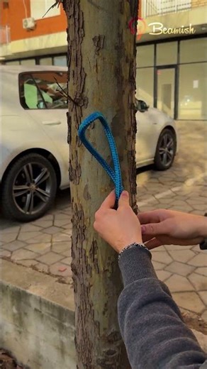 Easy method to tie a clothesline knot #diy #clothesline #knot #trick