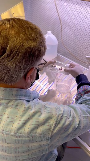 1.6K views · 62 reactions |  The First 3 Master Classes of 2025 Are...