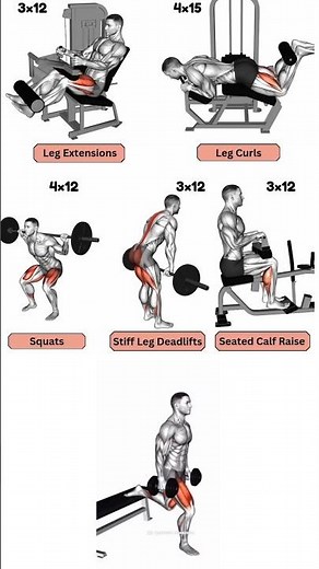 The Ultimate Leg Workout Routine for Hypertrophy