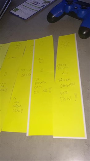 Stina Sörensson på TikTok