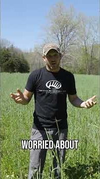 Establishing New Clover Food Plot | Avoid THIS Mistake! #hunting #deer #deerhunting