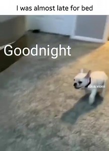 Paul Reilly on Reels